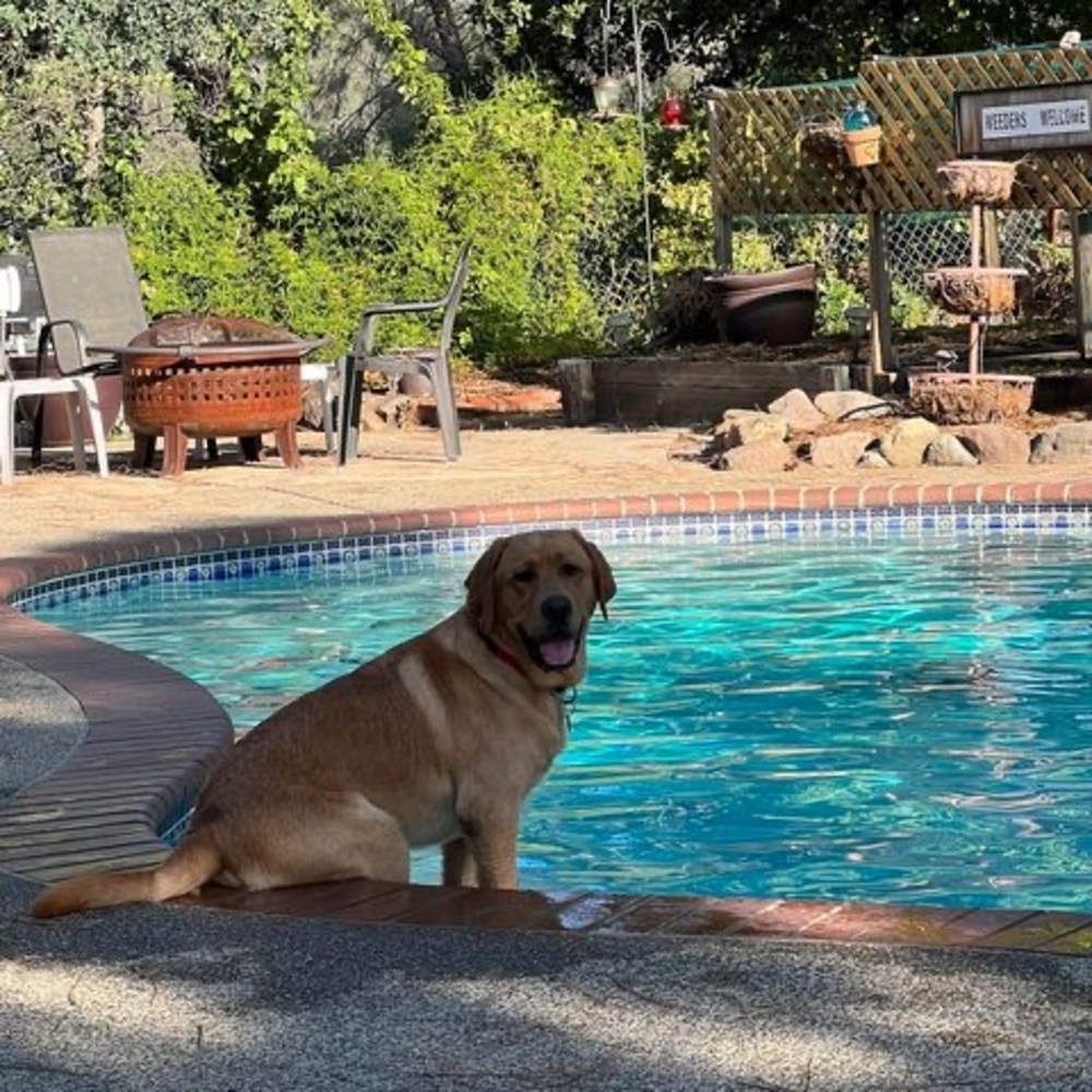 Meet your Posher, Tisa